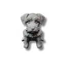 Schnauzer Gray Figurine