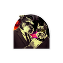 Schnauzer Secret Agent Sticker